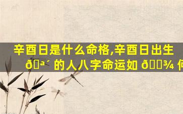 辛酉日是什么命格,辛酉日出生 🪴 的人八字命运如 🌾 何